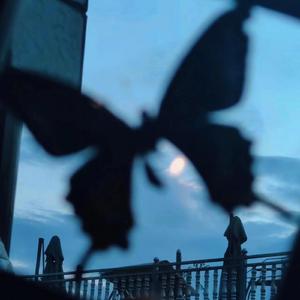 啊灬啊灬啊灬快灬高潮了抖音
